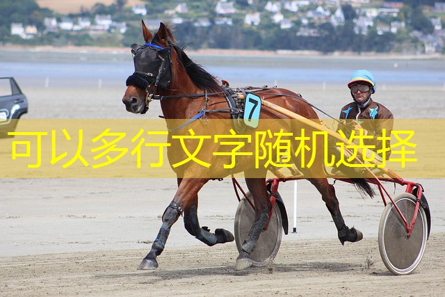 concurso dividas de jogo cassino exequetur concurso dividas de jogo cassino exequetur