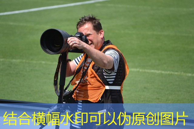 festa cassino ficha de jogo