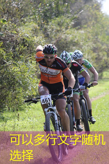 jogos de bingo cassino brasil jogos de bingo cassino brasil