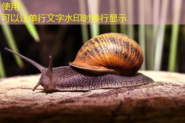 jogo praticados em cassinos jogo praticados em cassinos