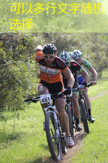 o que comanda o jogo no cassino