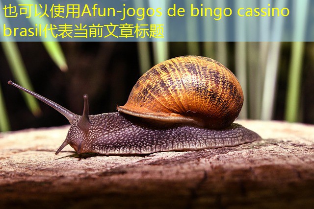 jogos de bingo cassino brasil jogos de bingo cassino brasil