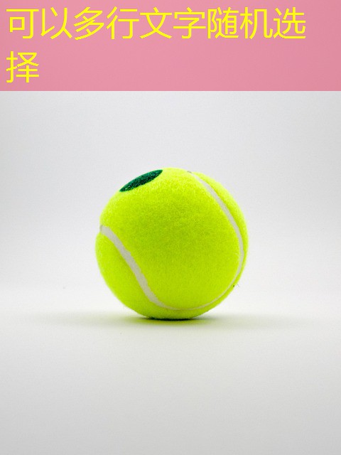 cassino jogos sportingbet cassino jogos sportingbet