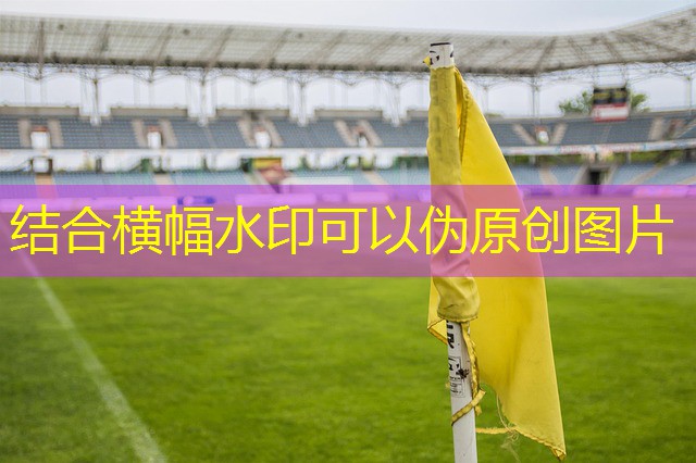 jogo de bingo gratis cassino brasil