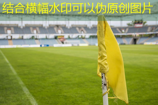 cassino com jogos de bingo