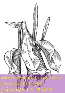 administração do capital de giro assaf neto pdf grátis